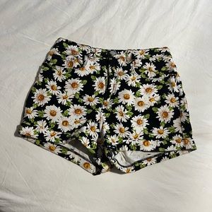 American apparel daisy shorts